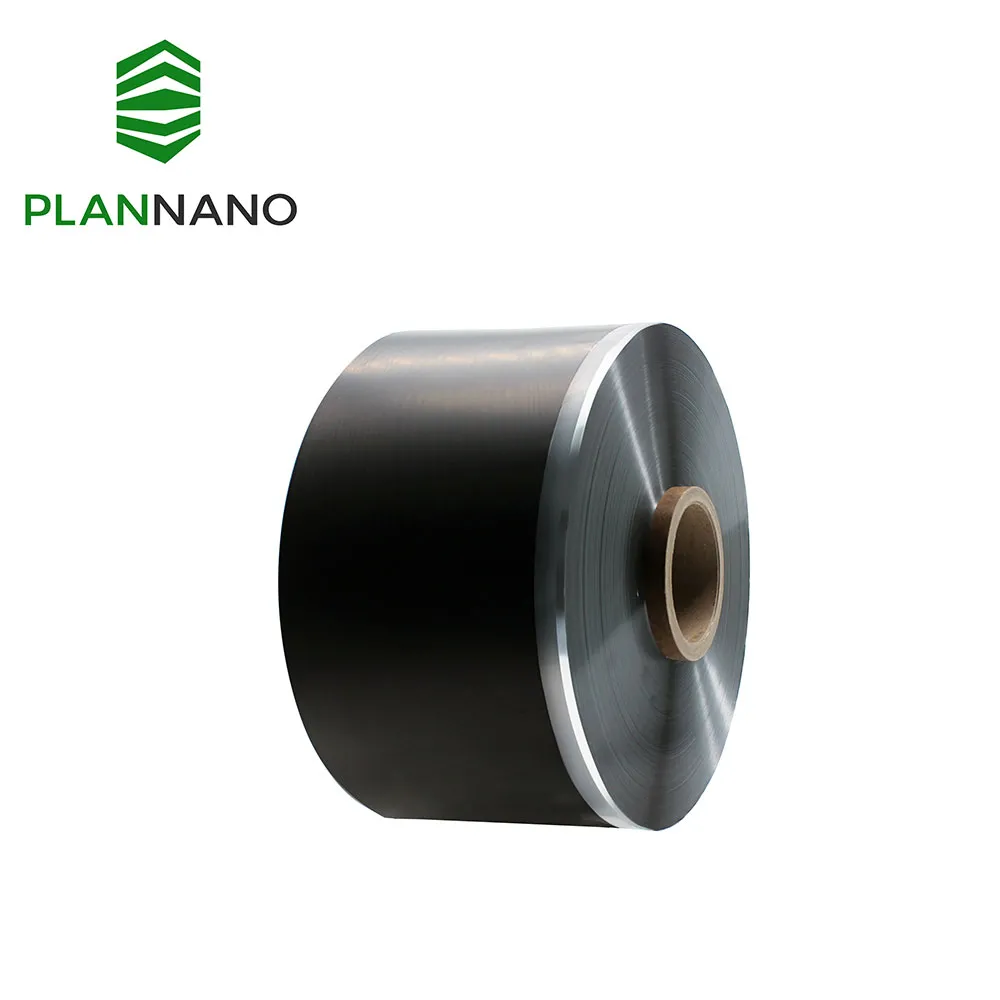 PQS Double-sided Dry Electrode Foil